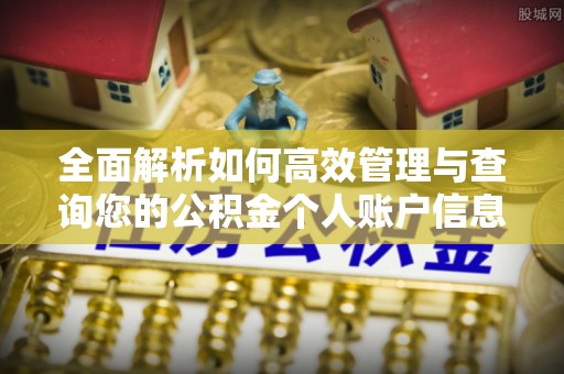番路全面解析如何高效管理与查询您的公积金个人账户信息