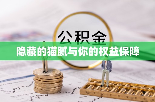 番路隐藏的猫腻与你的权益保障