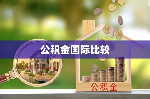 番路公积金国际比较